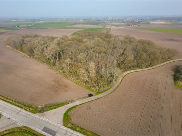 Meer dan 3ha bosgrond te Vladslo