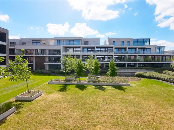 Residentie Serengeti