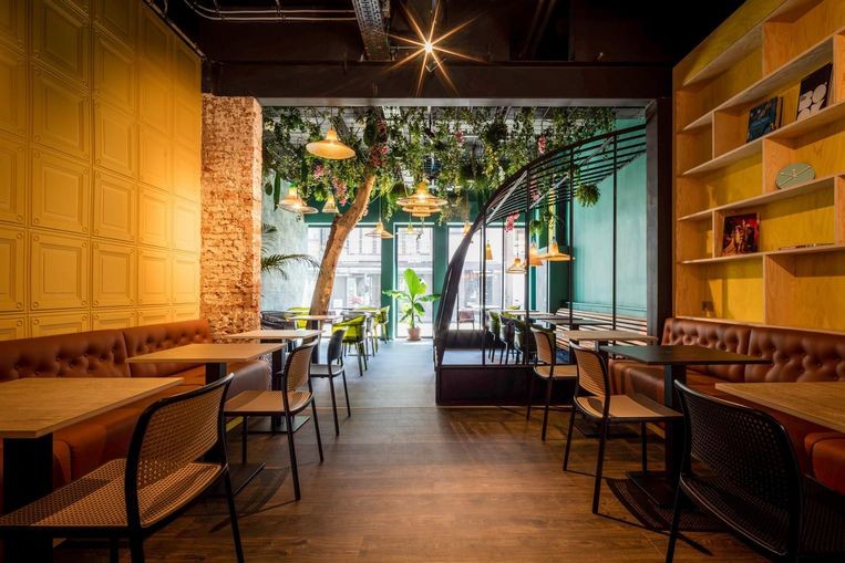 Een van de zeven mooiste cafés ter wereld ligt in... Sint-Niklaas