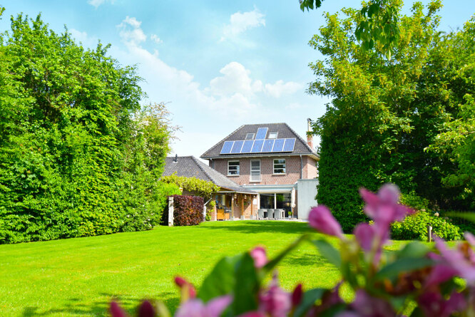 4x Tips voor een mooie tuin in je nieuwe woning