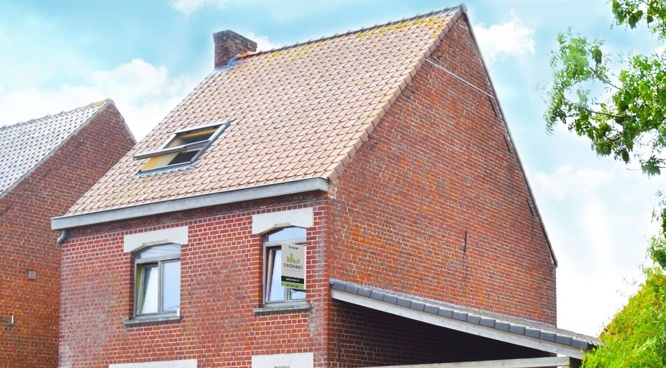 Waarom je het dak moet ontmossen